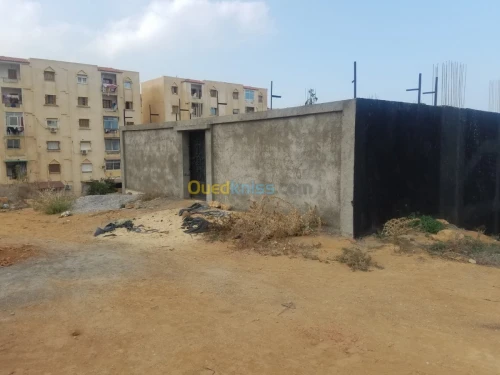 Vente Carcasse Tipaza Bou haroun