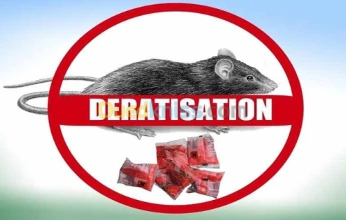 Dératisation