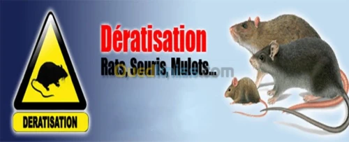 Dératisation
