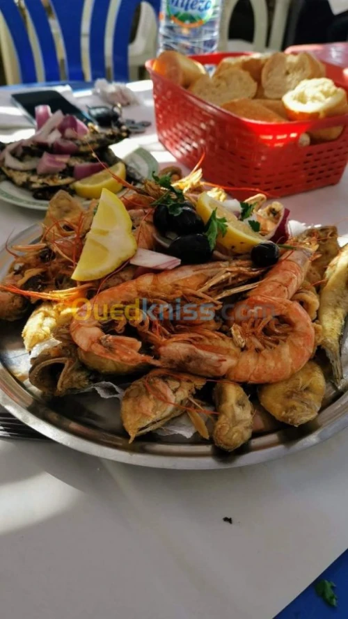Location Villa Tlemcen Ghazaouet