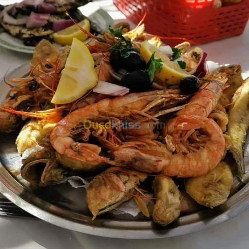 Location Villa Tlemcen Ghazaouet