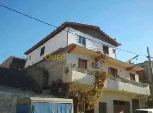 Vente Carcasse Chlef Chettia