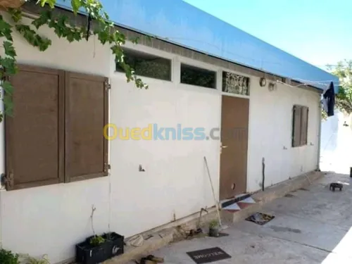 Vente Carcasse Chlef Chettia