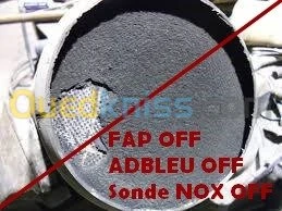 Scanner + Suppression FAP EGR