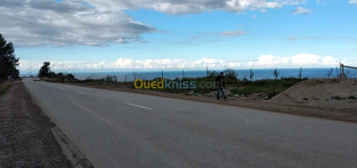 Vente Terrain Bejaia Bejaia