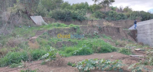 Vente Terrain Bejaia Bejaia