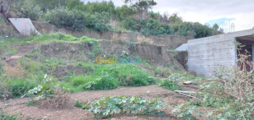 Vente Terrain Bejaia Bejaia