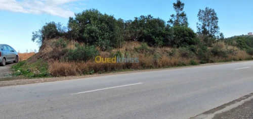 Vente Terrain Bejaia Bejaia