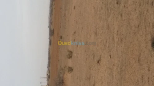 Vente Terrain Djelfa Benhar
