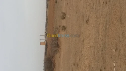 Vente Terrain Djelfa Benhar