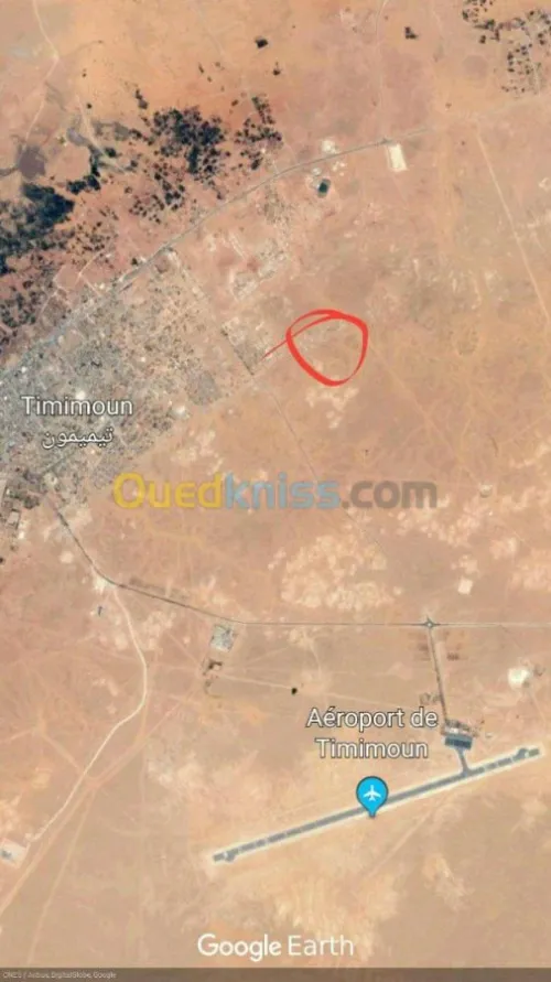 Vente Carcasse Adrar Timimoun