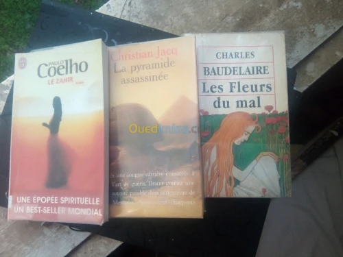 Collection chefs-d'œuvres littéraires