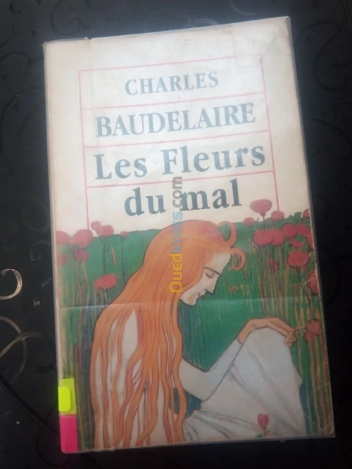 Collection chefs-d'œuvres littéraires