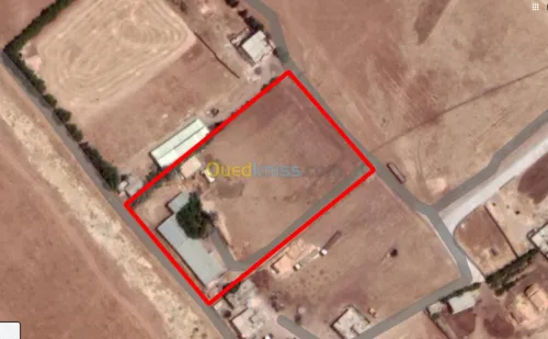 Vente Terrain Setif Mezloug