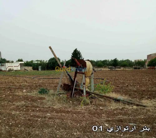 Vente Terrain Setif Mezloug
