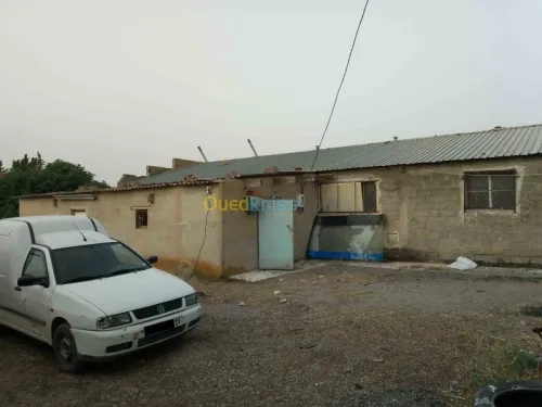 Vente Terrain Setif Mezloug