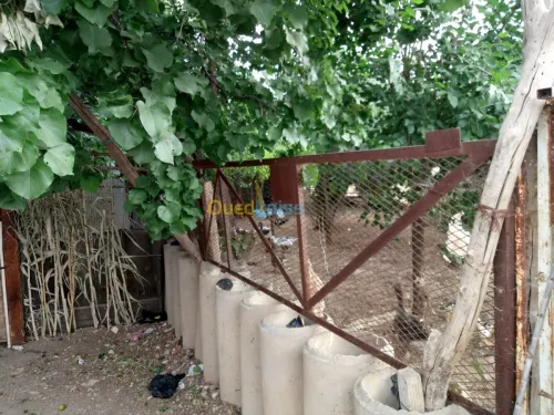 Vente Terrain Setif Mezloug