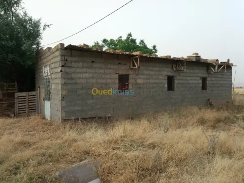 Vente Terrain Setif Mezloug