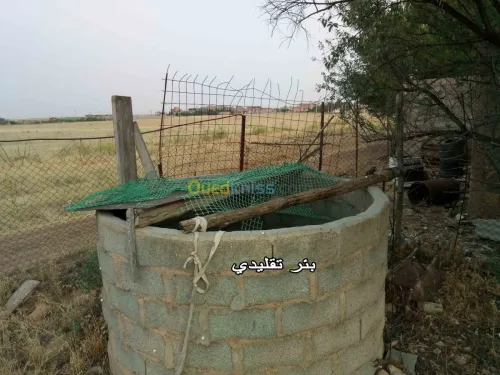 Vente Terrain Setif Mezloug