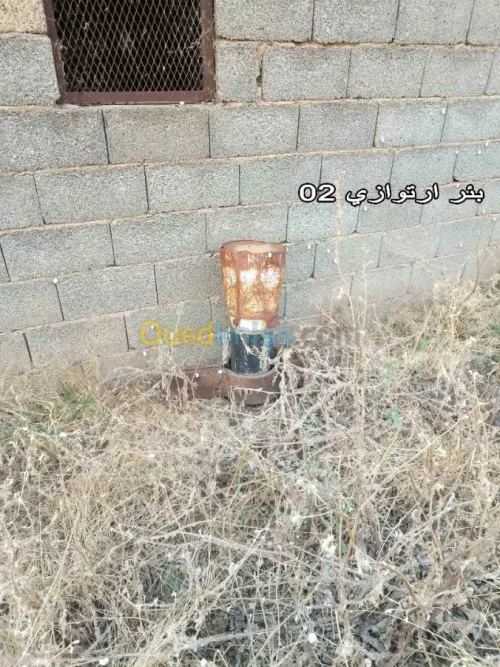 Vente Terrain Setif Mezloug