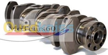 Velbrequin navara dorigine