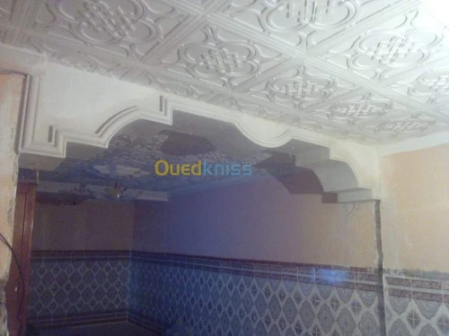 Vente Villa Tiaret Frenda