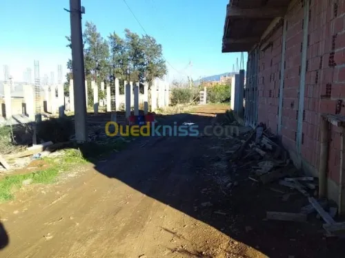 Vente Terrain Blida Chiffa