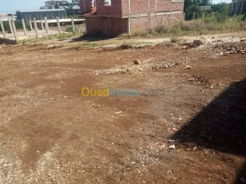 Vente Terrain Blida Chiffa