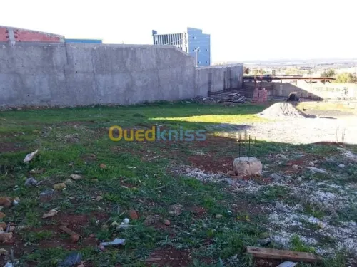 Vente Terrain Blida Chiffa