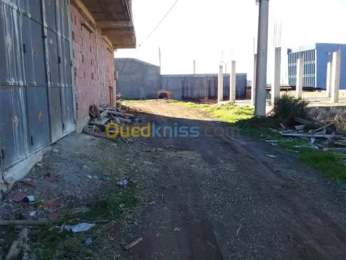 Vente Terrain Blida Chiffa
