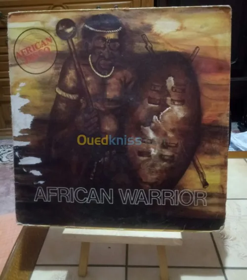 Vinyles 33 Tour