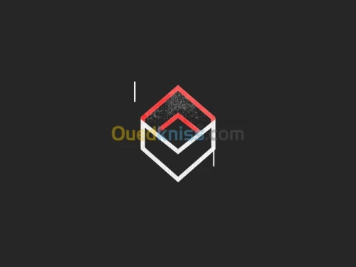 Animation de logo et Photo de profile