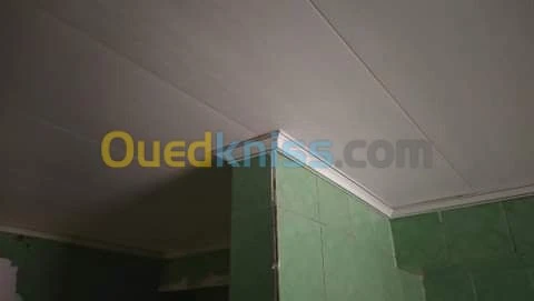 electricité placoplatr pvc et peinture