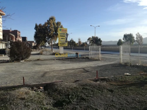 Vente Carcasse Batna Oued chaaba
