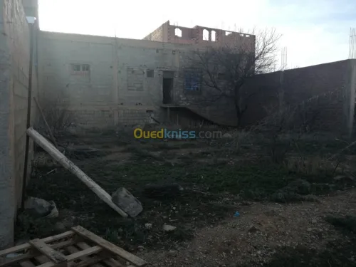 Vente Carcasse Batna Oued chaaba