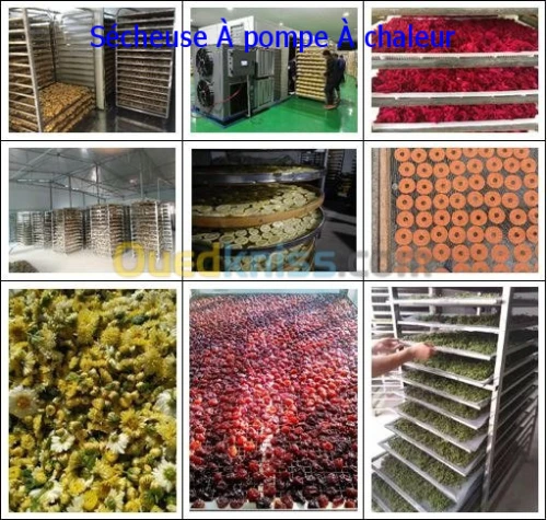 Machines De Séchage De Fruits
