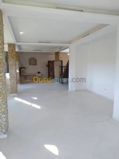 Location Duplex F5 Alger Dely brahim