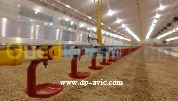 LIGNE ABREUVEMENT AVICOLE 