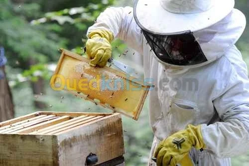 Formation Apiculture