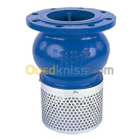 CLAPET CREPINE EN FONTE A BRIDE