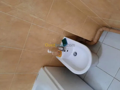 Location Appartement F3 Oran Oran