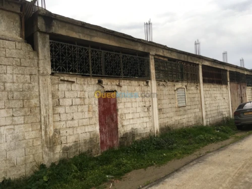 Location Hangar Tizi ouzou Tizi ouzou