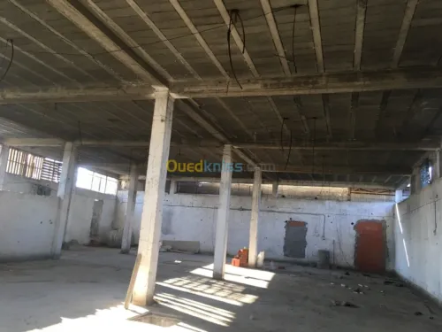 Location Hangar Tizi ouzou Tizi ouzou