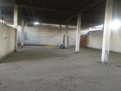 Location Hangar Tizi ouzou Tizi ouzou