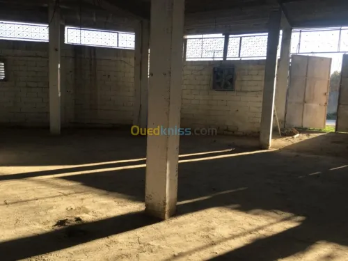Location Hangar Tizi ouzou Tizi ouzou