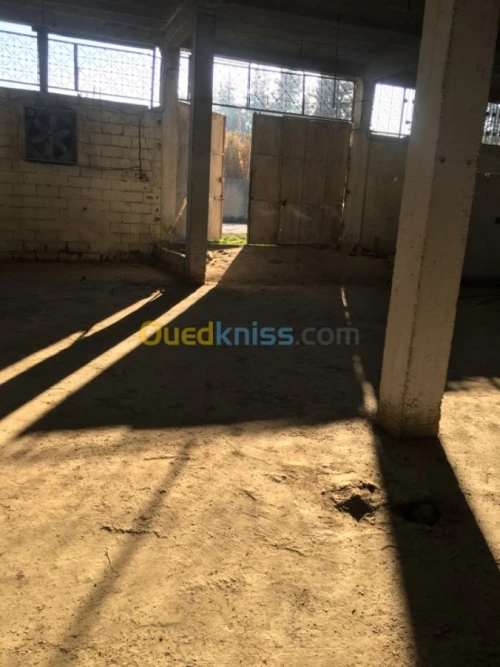 Location Hangar Tizi ouzou Tizi ouzou