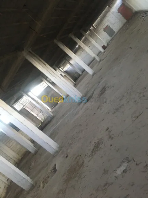 Location Hangar Tizi ouzou Tizi ouzou