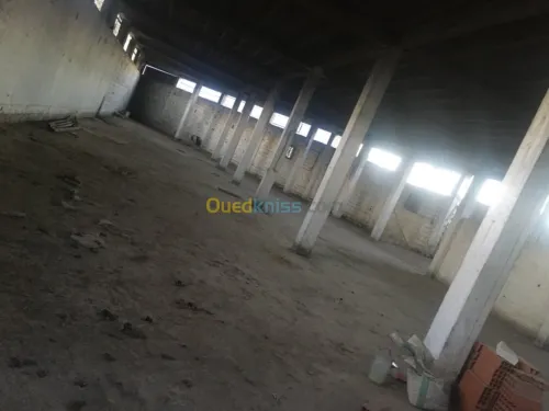 Location Hangar Tizi ouzou Tizi ouzou