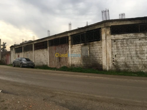 Location Hangar Tizi ouzou Tizi ouzou