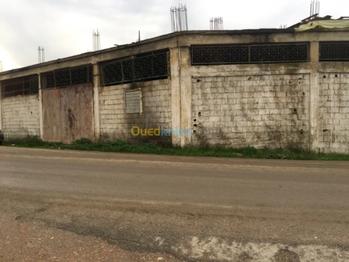 Location Hangar Tizi ouzou Tizi ouzou